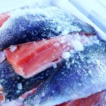 Réfrigérateur à poisson professionnel -1°C/-2°C – Image 5